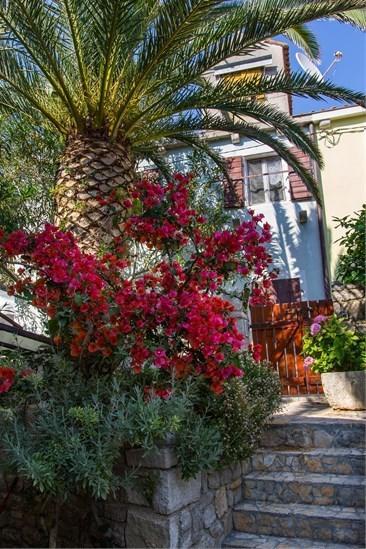Apartment Julia Veli Losinj Bagian luar foto